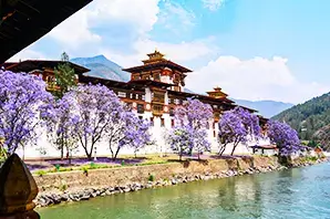 bhutan-honeymoon-images