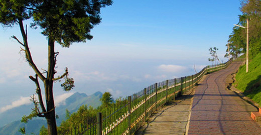 Ooty & Kodaikanal Tour Package