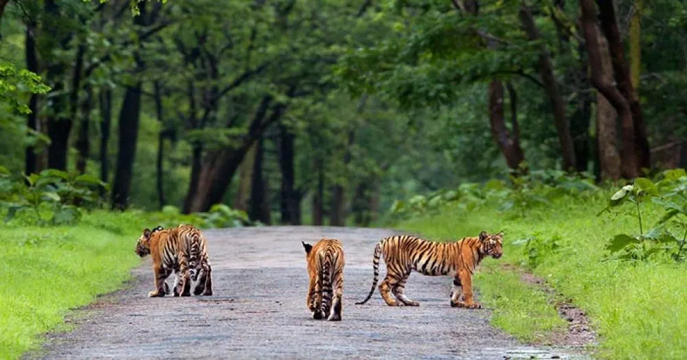 Maharashtra Tour