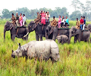 Kaziranga