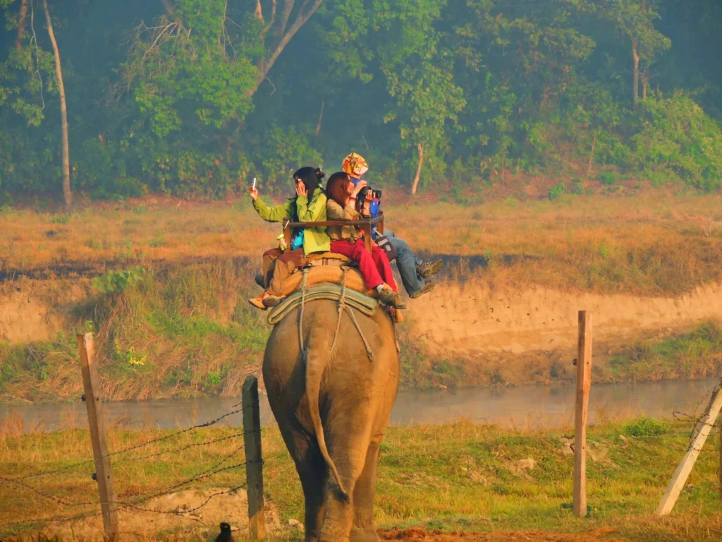 Chitwan Tour Package