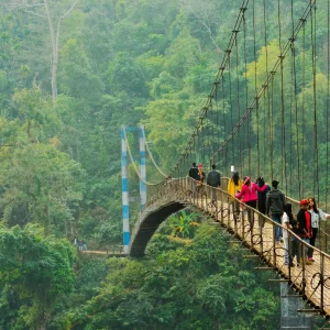 Meghalaya