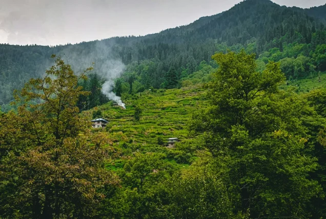 Kullu Tour Package