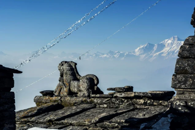 Chopta Tour Package