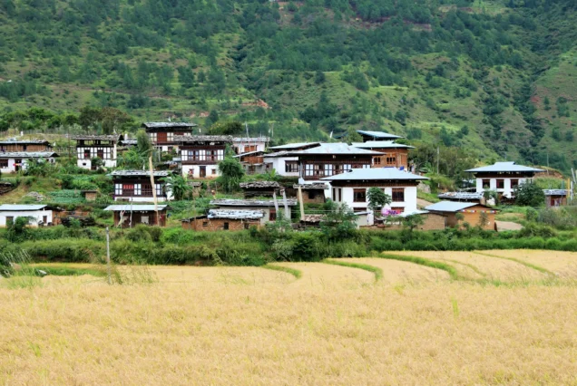 Punakha Tour Package