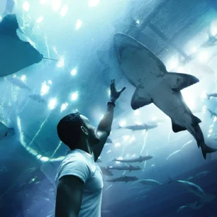 Dubai Aquarium