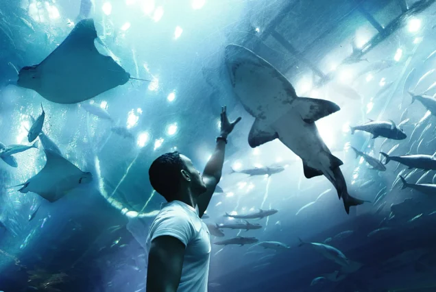 Dubai Aquarium Tour