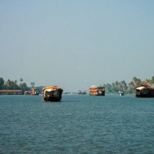 Alleppey