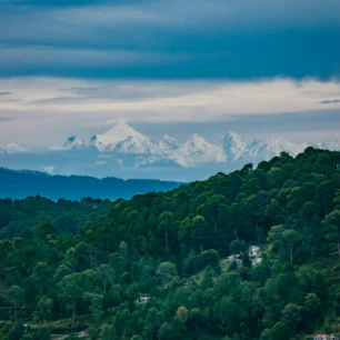 Ranikhet