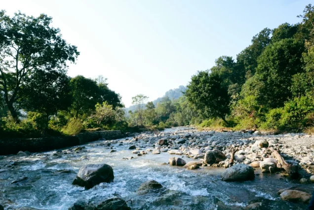 Jim Corbett National Park