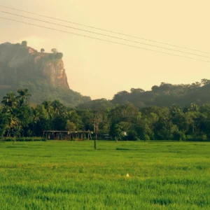 Sri Lanka