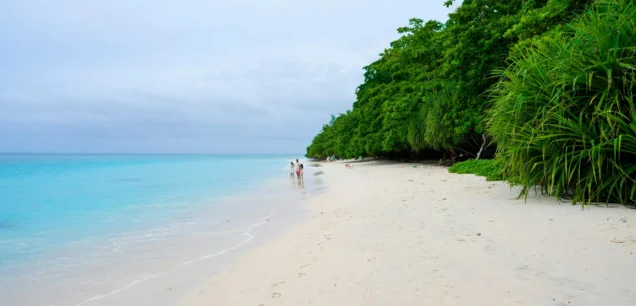 Havelock Island