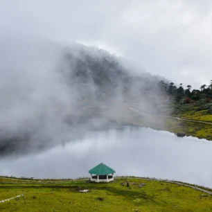 Ziro Valley