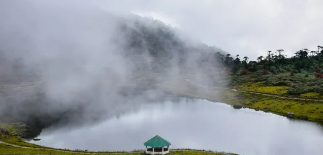 Ziro Valley