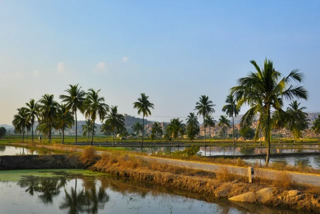 Hampi Tour Package