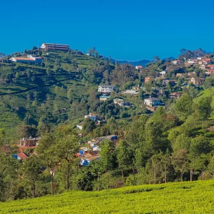 Ooty