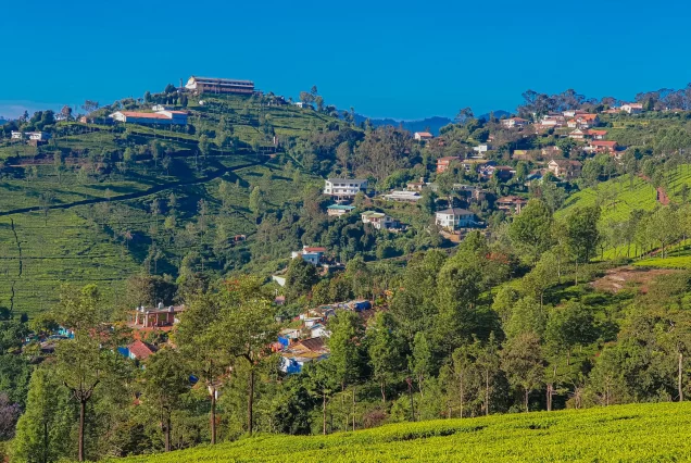 Ooty Tour Package